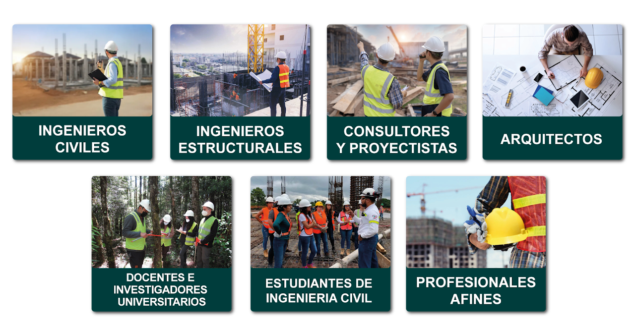 Público objetivo del curso