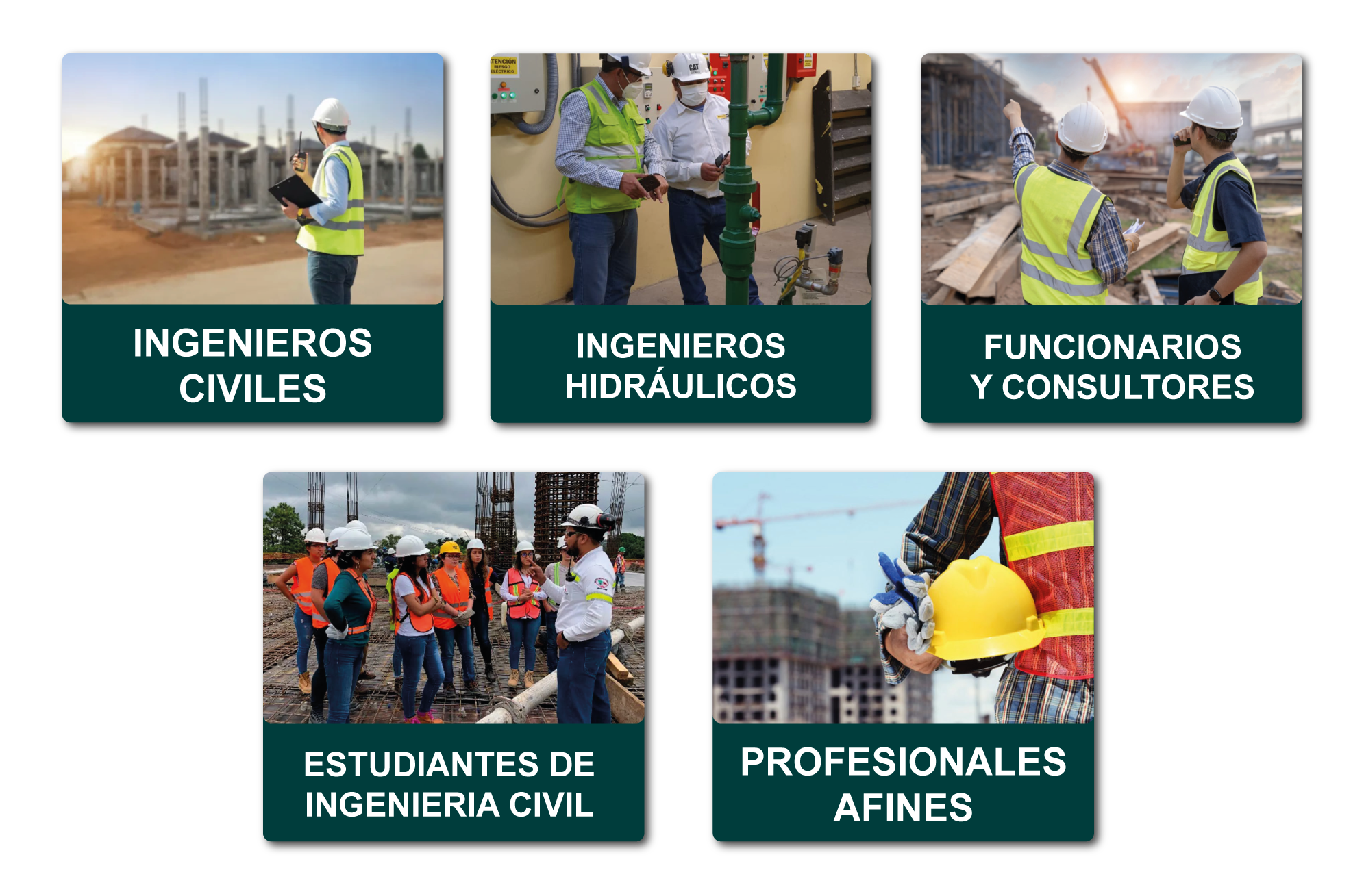 Público objetivo del curso