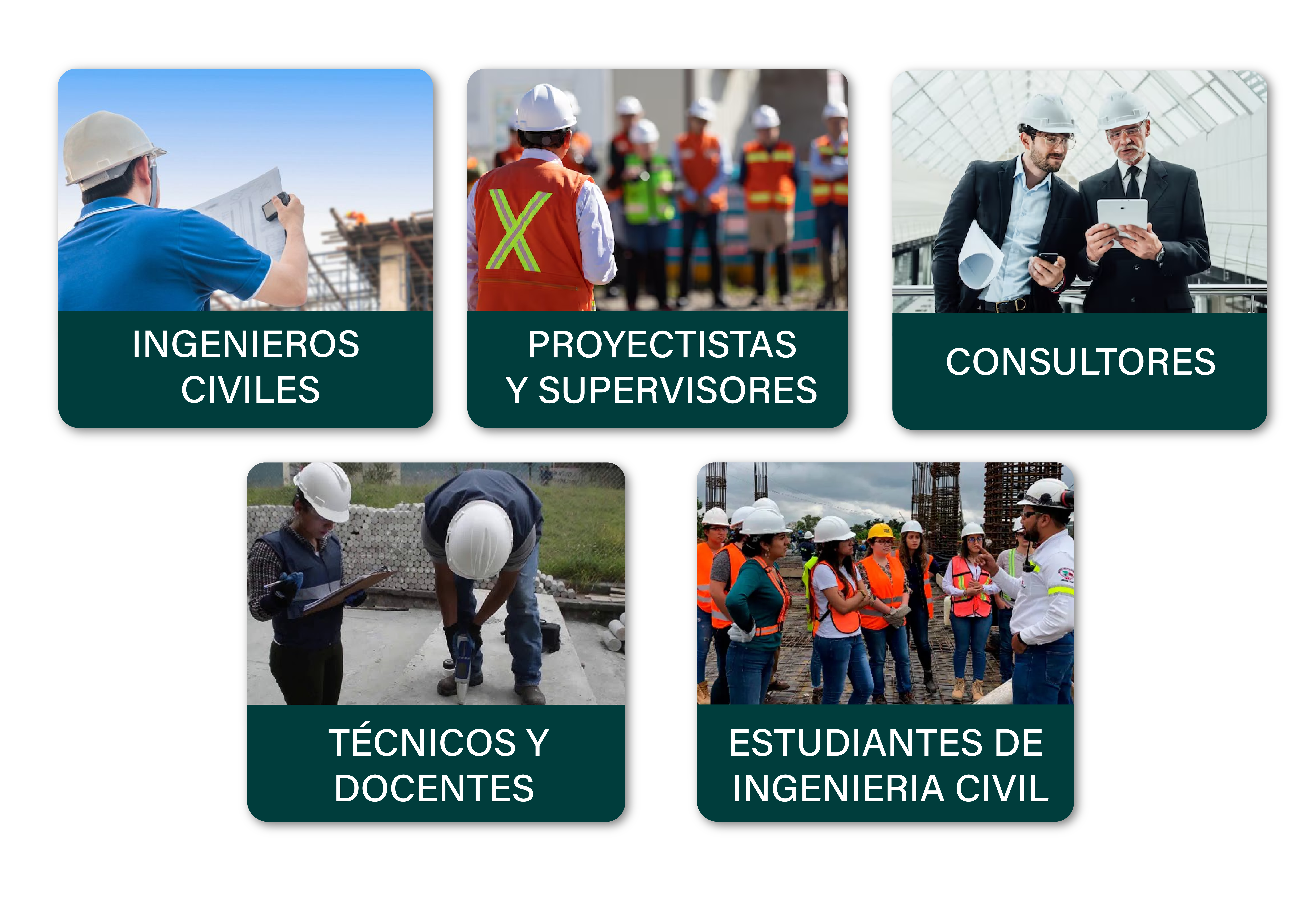 Público objetivo del curso