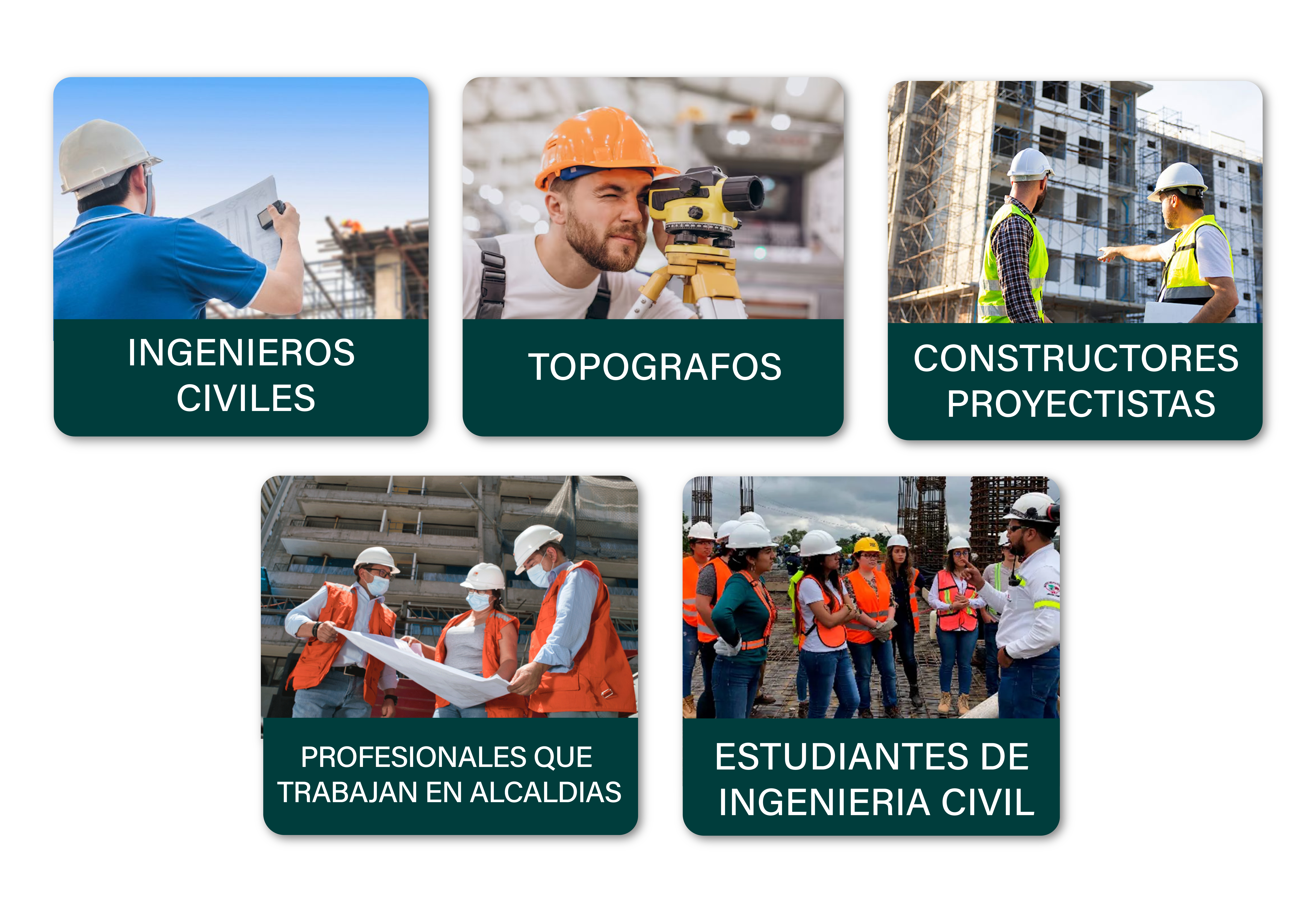 Público objetivo del curso